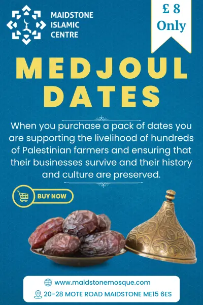 Palestinian Medjool Dates